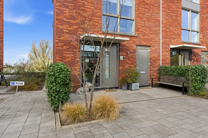 Photo 2 of Botter 55