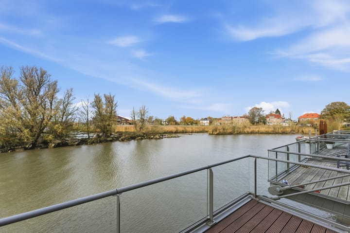 Photo 64 of Botter 55