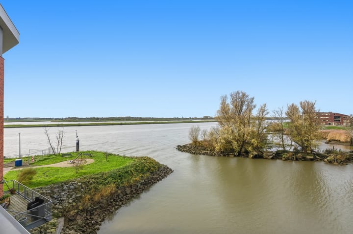 Photo 61 of Botter 55