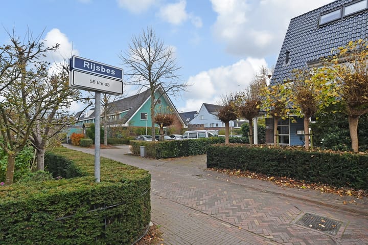 Photo 43 of Rijsbes 61