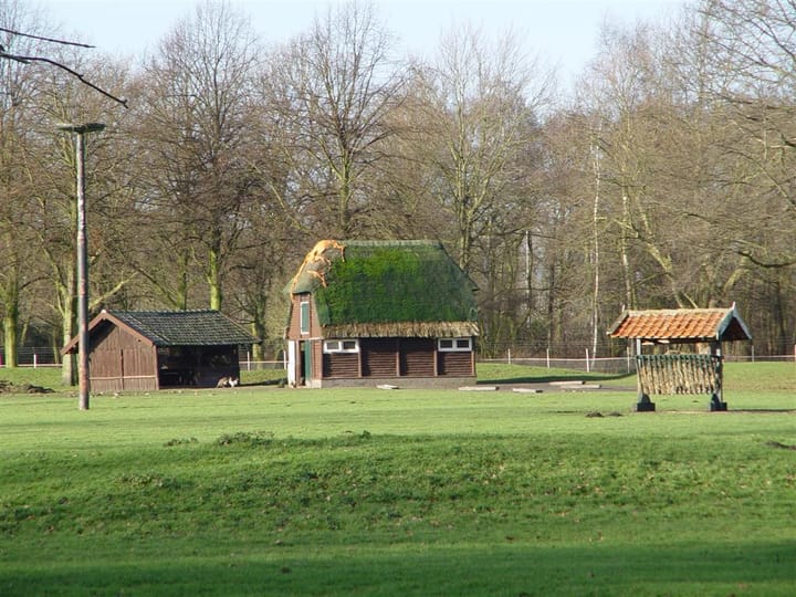 Photo 53 of Rijsbes 61