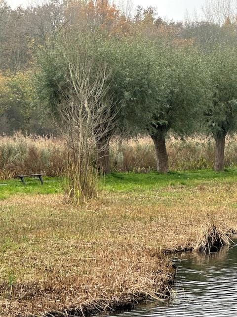 Photo 56 of Rijsbes 61