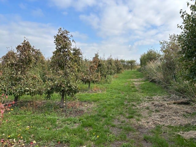 Bekijk foto 2 van Papotweg