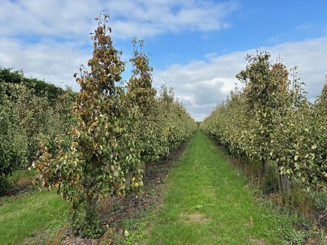 Bekijk foto 5 van Papotweg