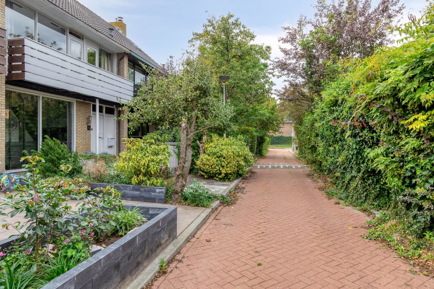 Photo 35 of Putteweye 4