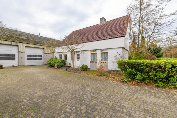 Foto 5 van Eenerstraat 67