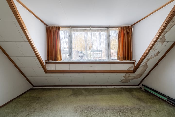 Photo 38 of Zwanendonk 24