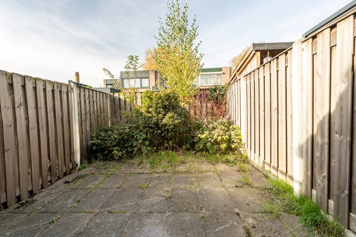 Photo 46 of Zwanendonk 24