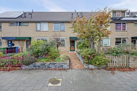 undefined main image