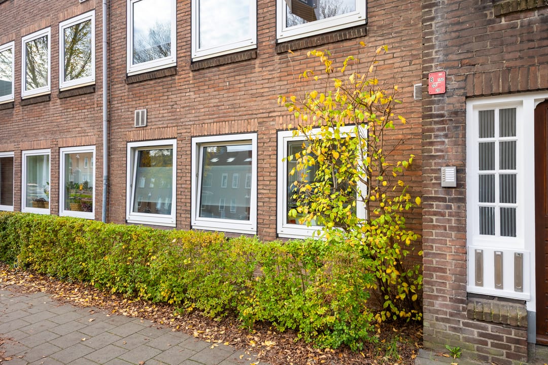 Photo 8 of Oudenoord 448