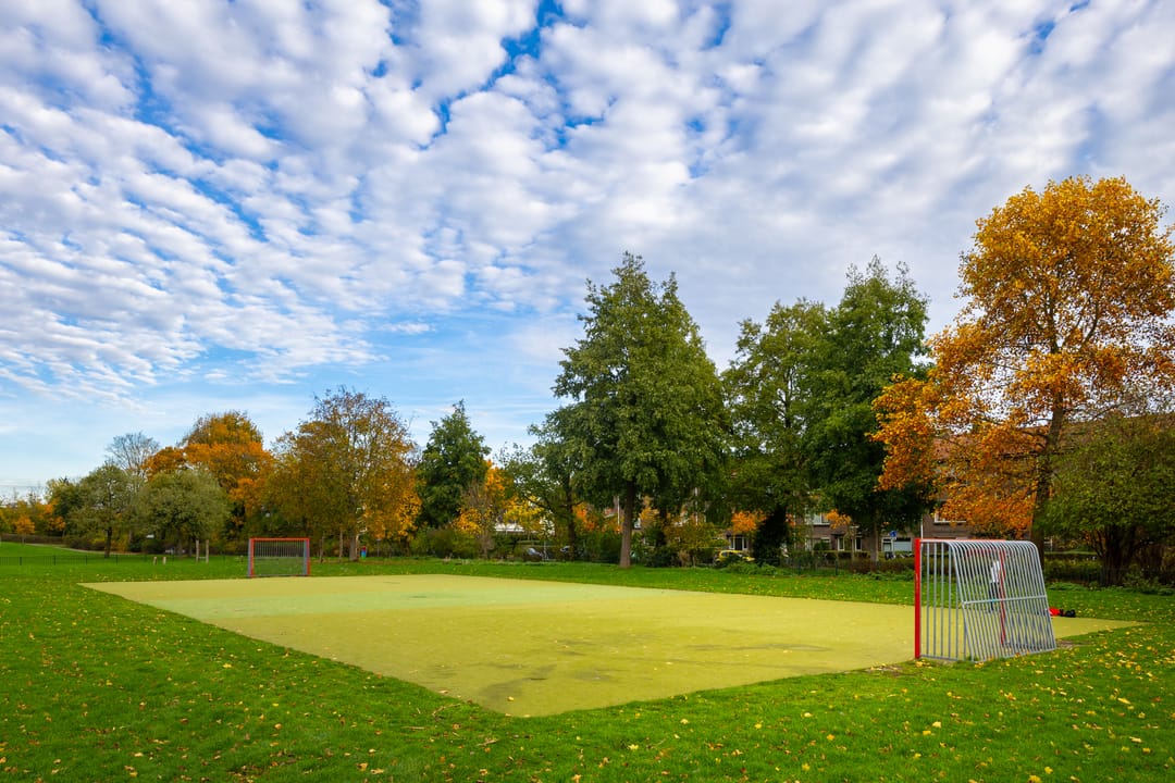 Photo 38 of Oudenoord 448