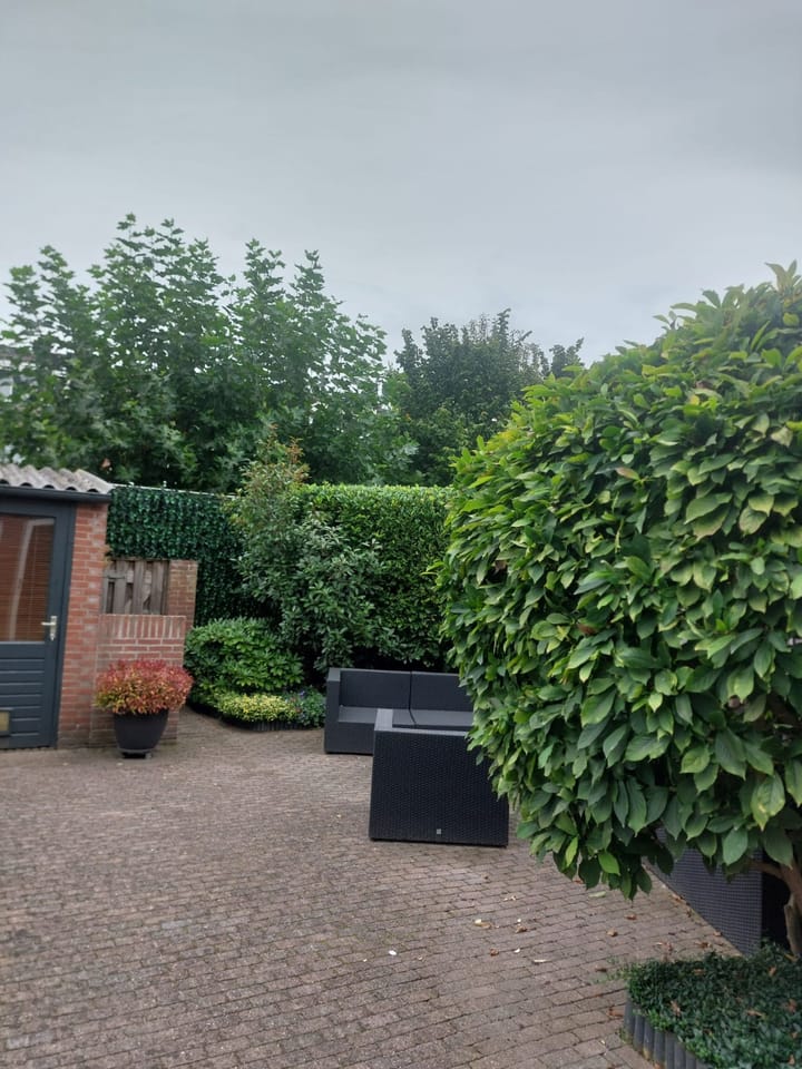 Photo 28 of Sint Maartensloop 86