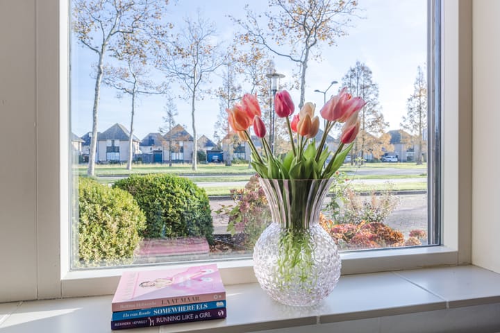 Foto 8 van Laan van Othene 35