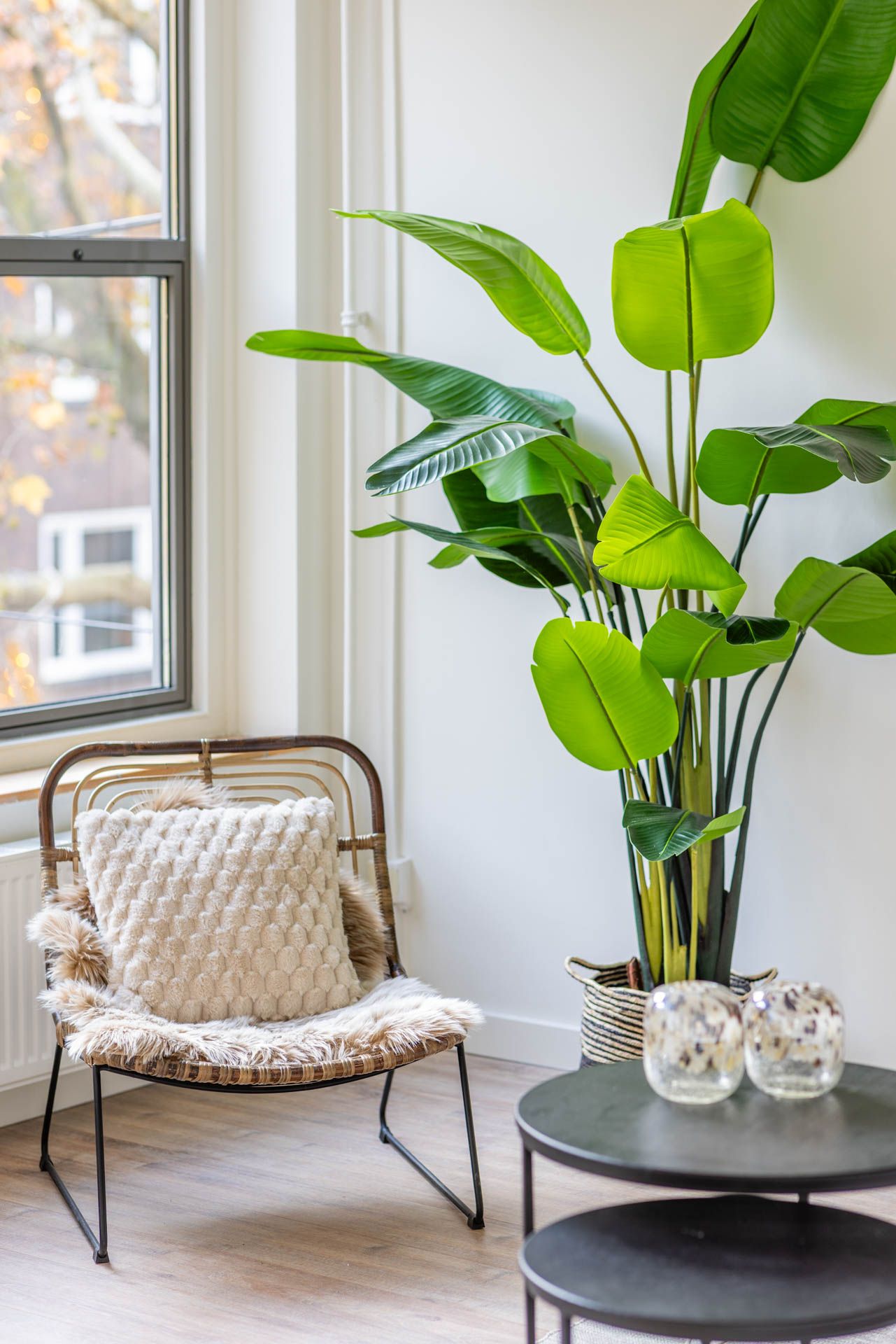 Foto 6 van Meent 83-C