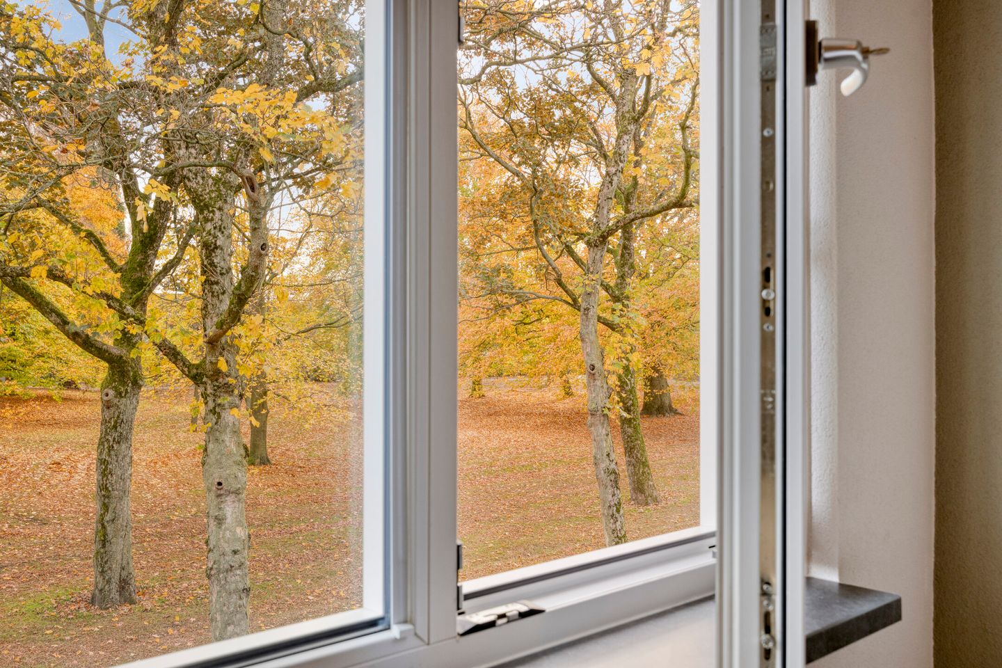 Foto 25 van Fratershof 26