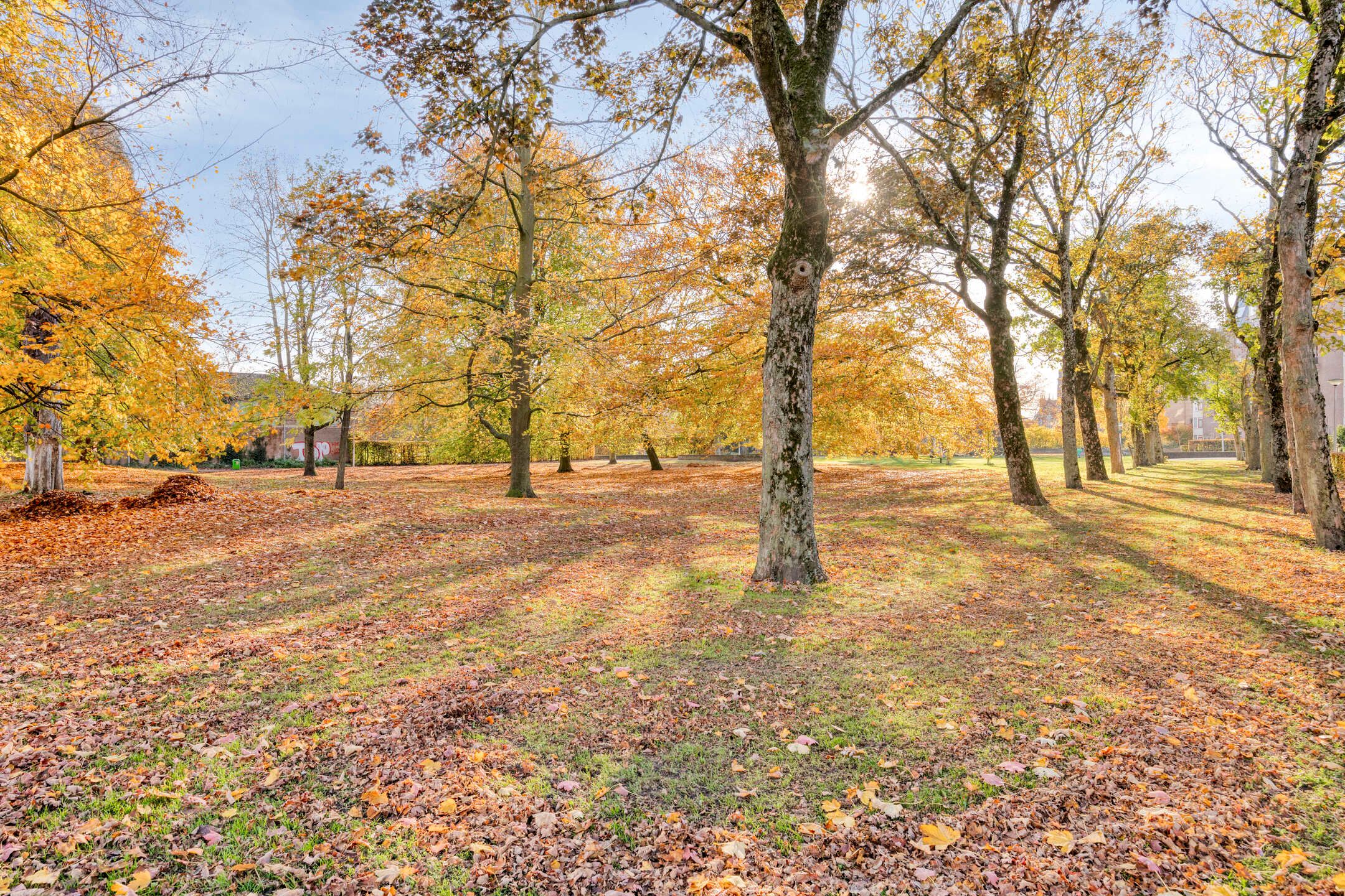 Foto 48 van Fratershof 26