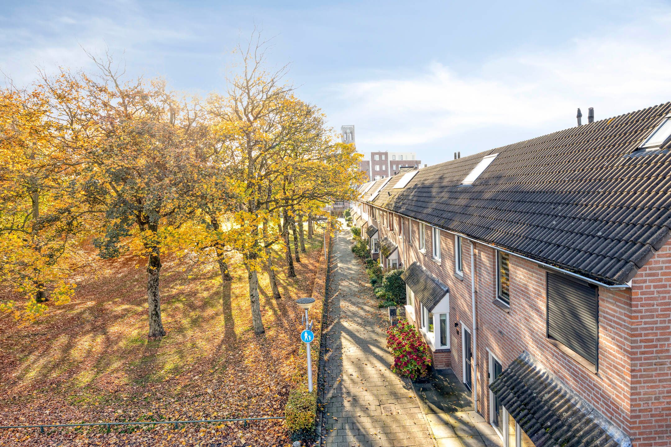 Foto 51 van Fratershof 26