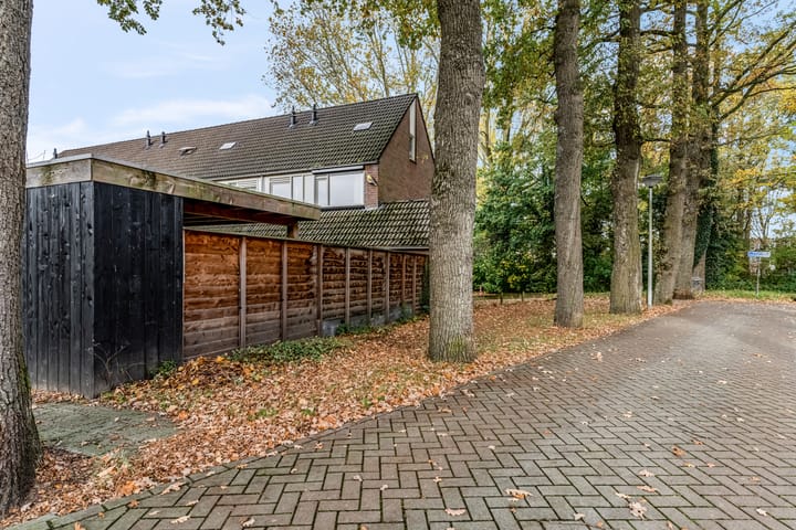 Photo 45 of Nijeveld 37