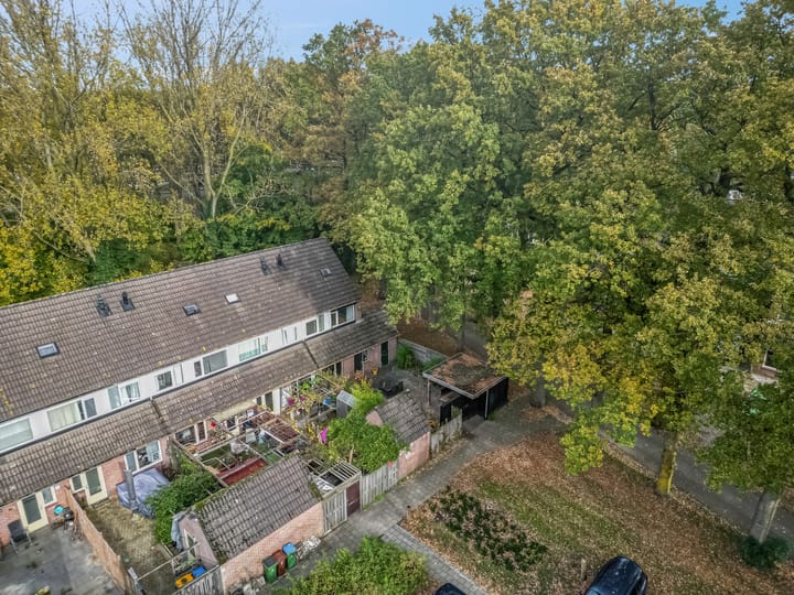 Photo 49 of Nijeveld 37