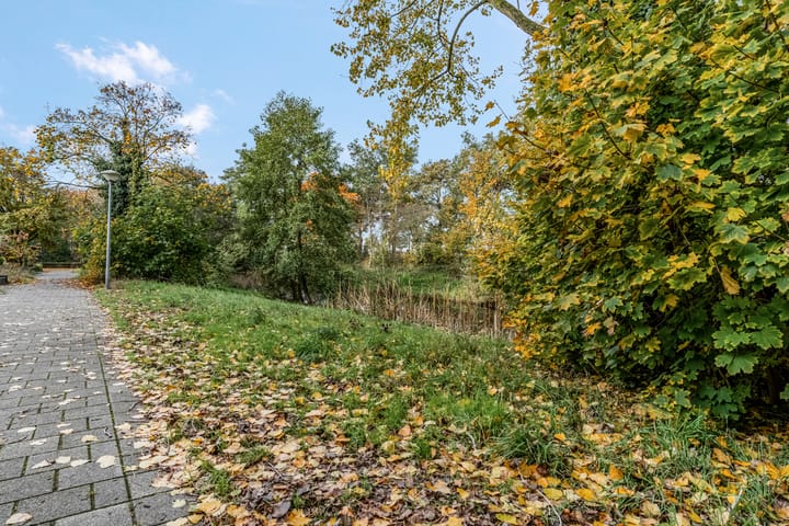 Photo 52 of Nijeveld 37