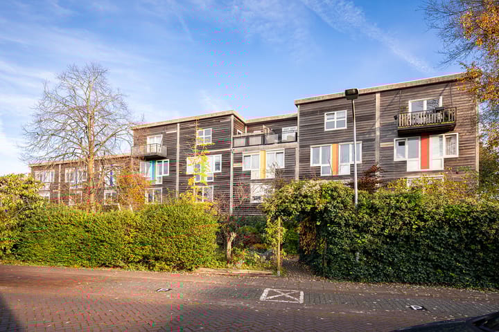 Photo 24 of Marjoleinpad 70