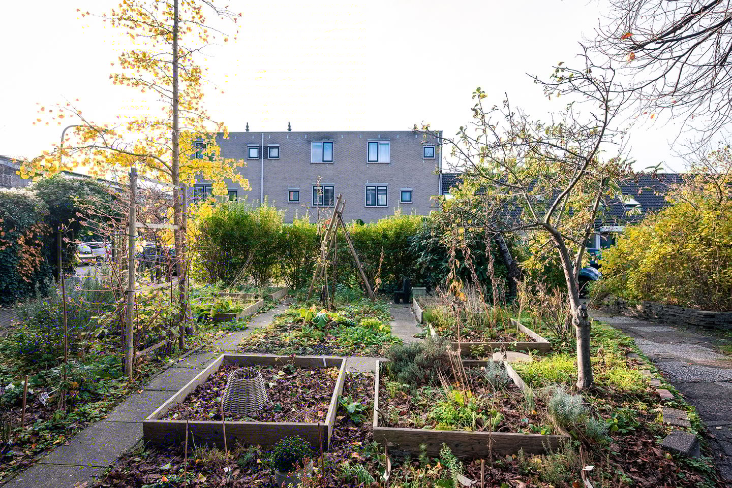 Foto 25 van Marjoleinpad 70