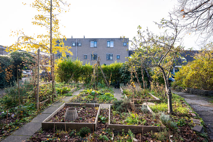 Photo 25 of Marjoleinpad 70