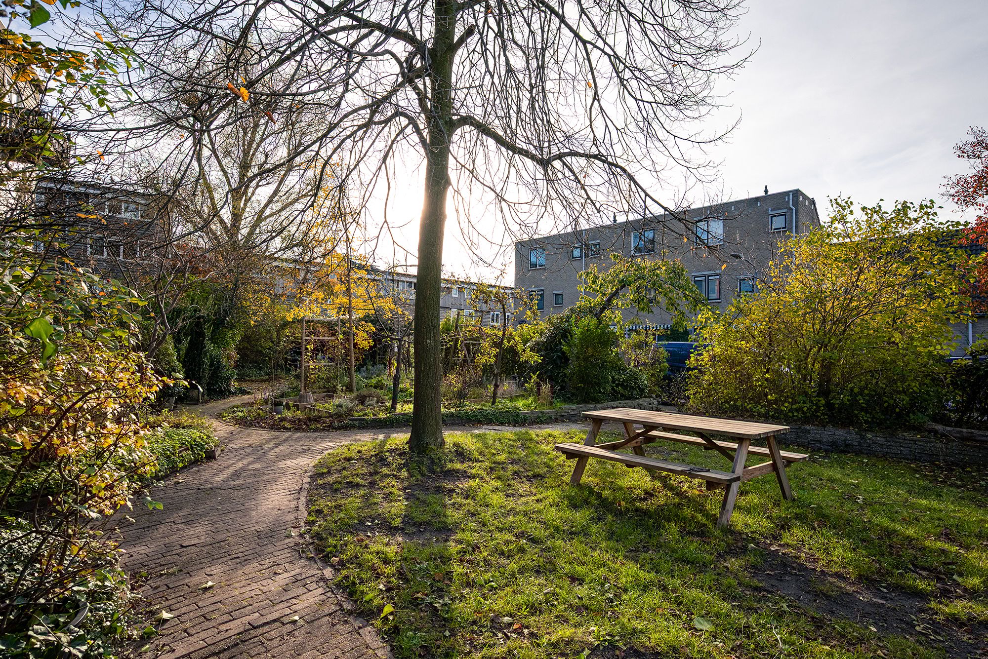 Foto 27 van Marjoleinpad 70