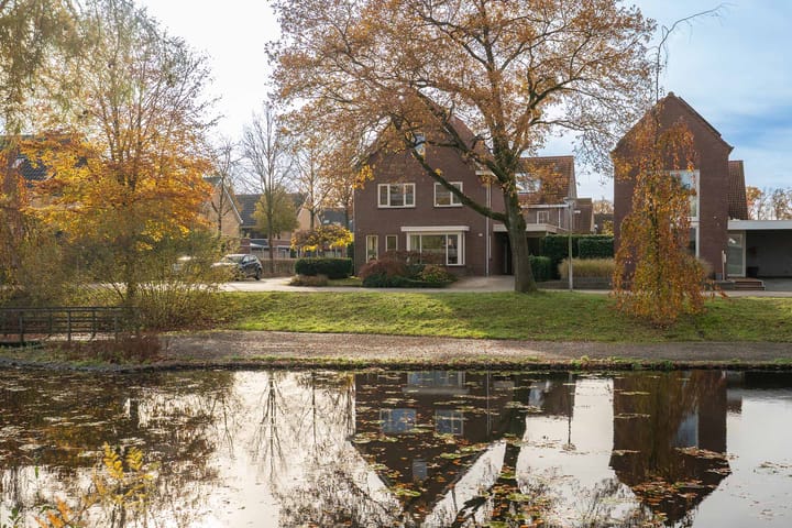 Foto 5 van Citroenvlinder 36