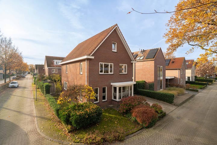 Foto 6 van Citroenvlinder 36