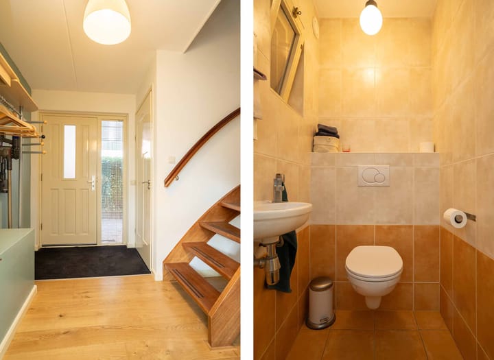 Foto 7 van Citroenvlinder 36