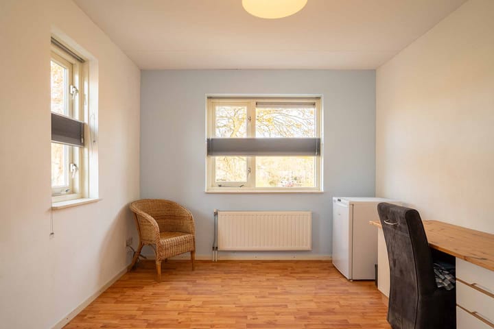 Foto 24 van Citroenvlinder 36