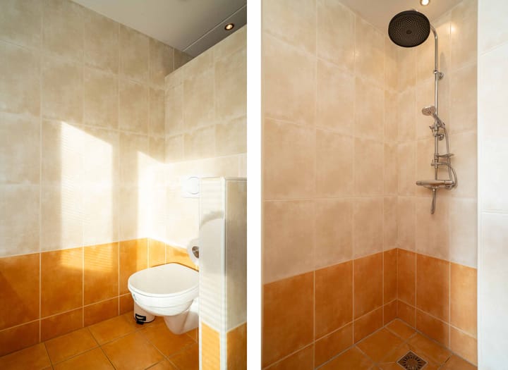 Foto 28 van Citroenvlinder 36