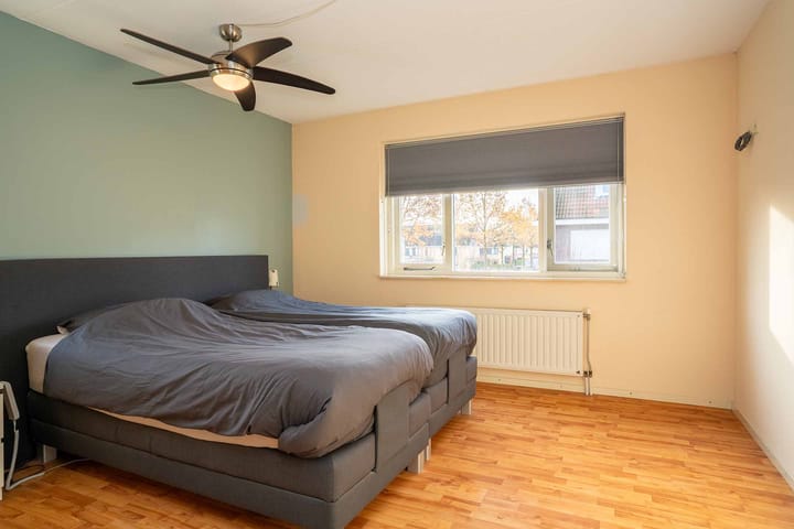 Foto 20 van Citroenvlinder 36