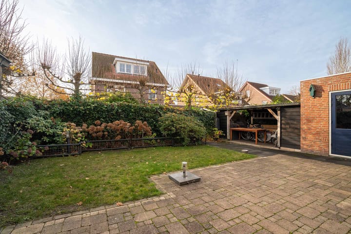 Foto 31 van Citroenvlinder 36