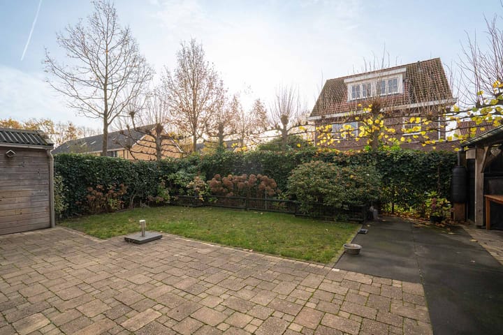 Foto 33 van Citroenvlinder 36