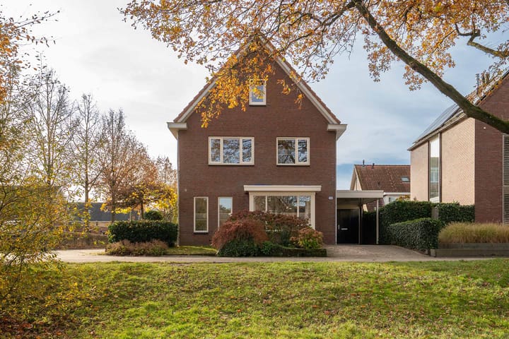 Foto 35 van Citroenvlinder 36