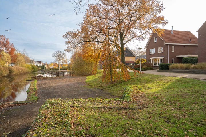 Foto 37 van Citroenvlinder 36