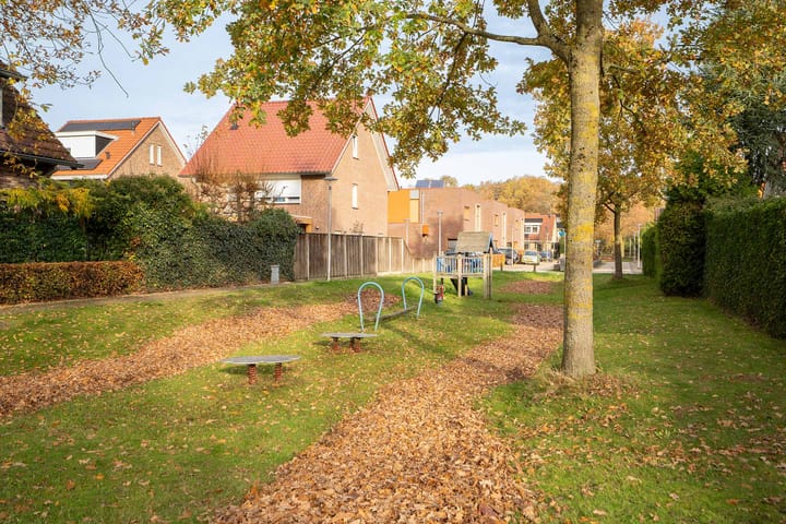 Foto 38 van Citroenvlinder 36