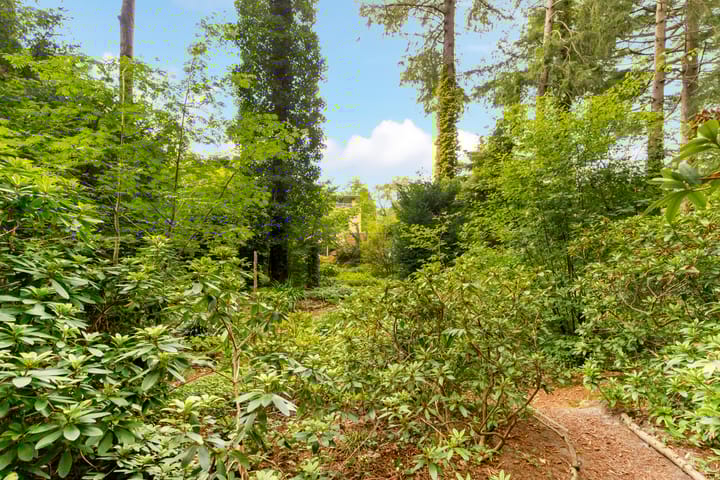 Photo 42 of Surinamelaan 17-C