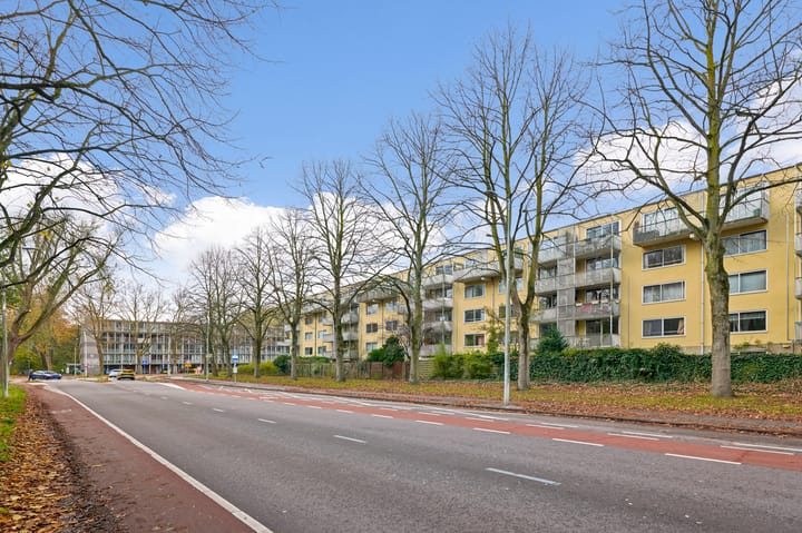 Photo 25 of Olof Palmeplein 28