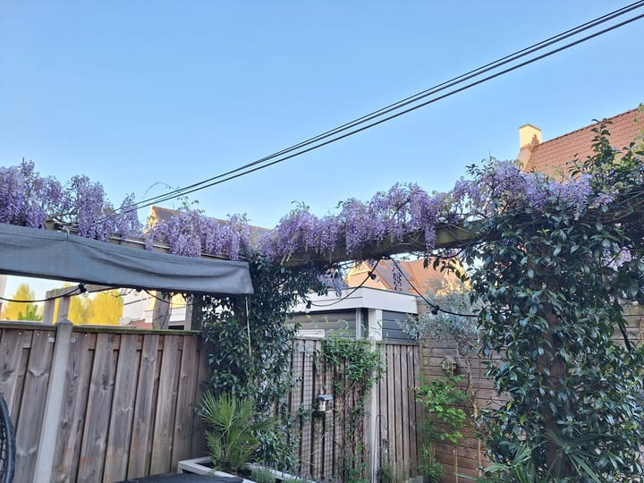 Foto 38 van Ananta Toerstraat 56