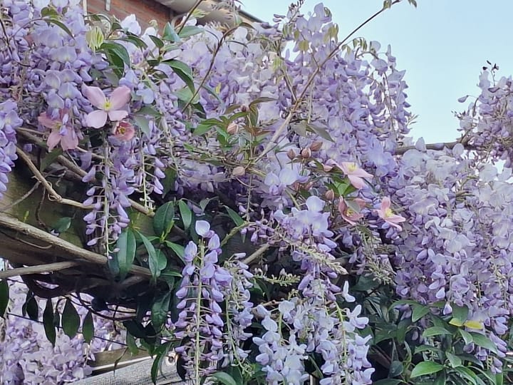 Foto 46 van Ananta Toerstraat 56