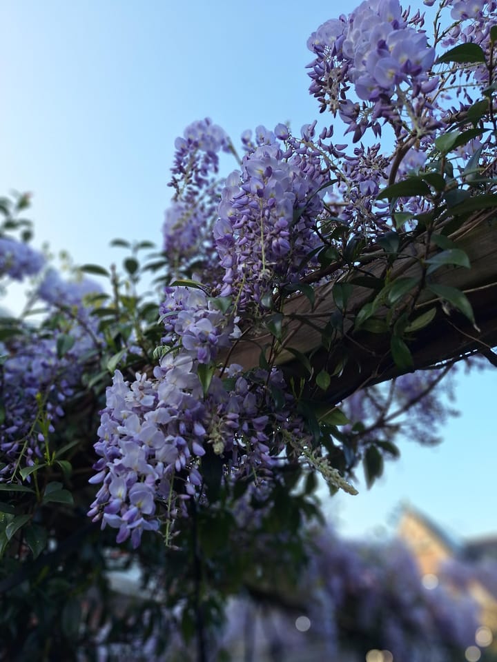 Foto 47 van Ananta Toerstraat 56