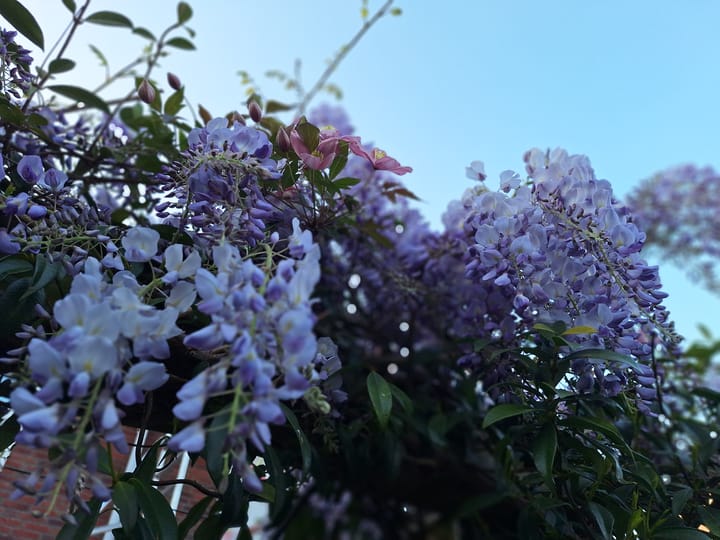 Foto 49 van Ananta Toerstraat 56