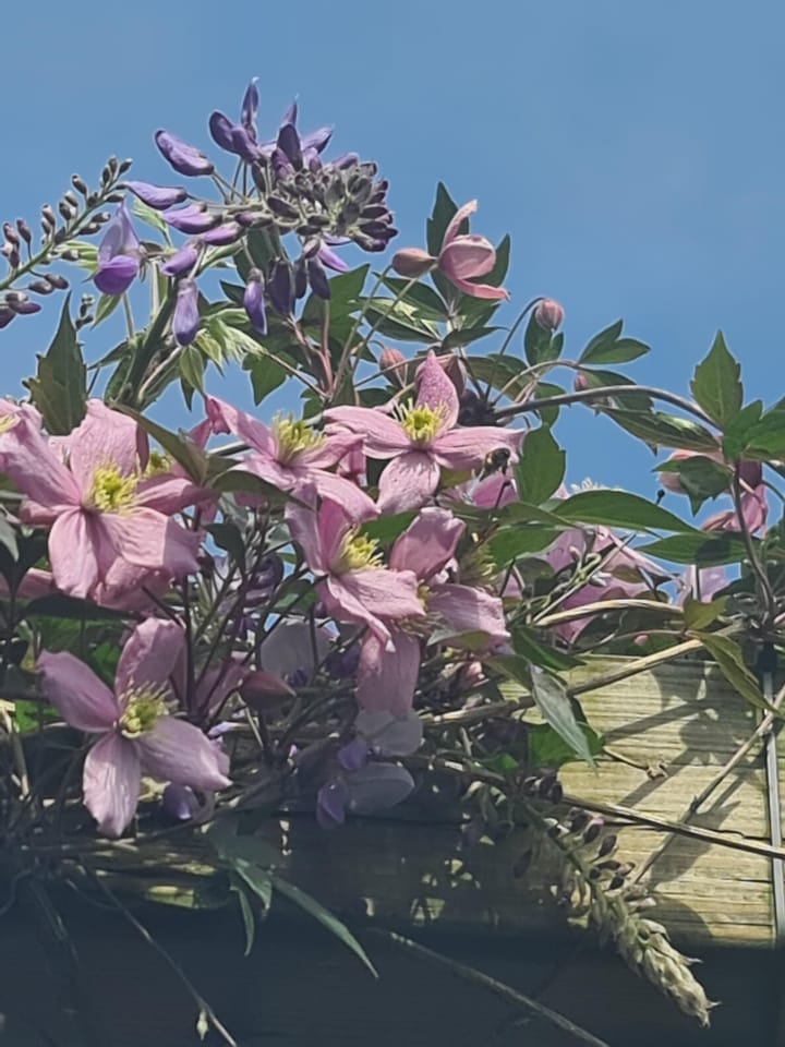 Foto 50 van Ananta Toerstraat 56