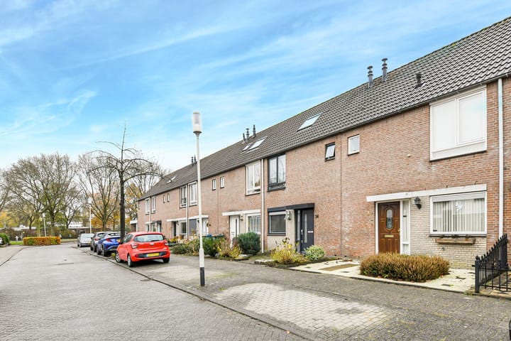 Photo 2 of Honderdbunder 32