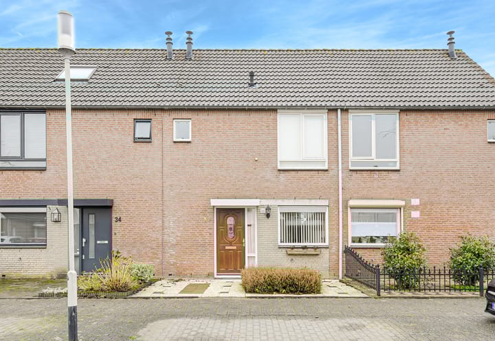 Photo 32 of Honderdbunder 32