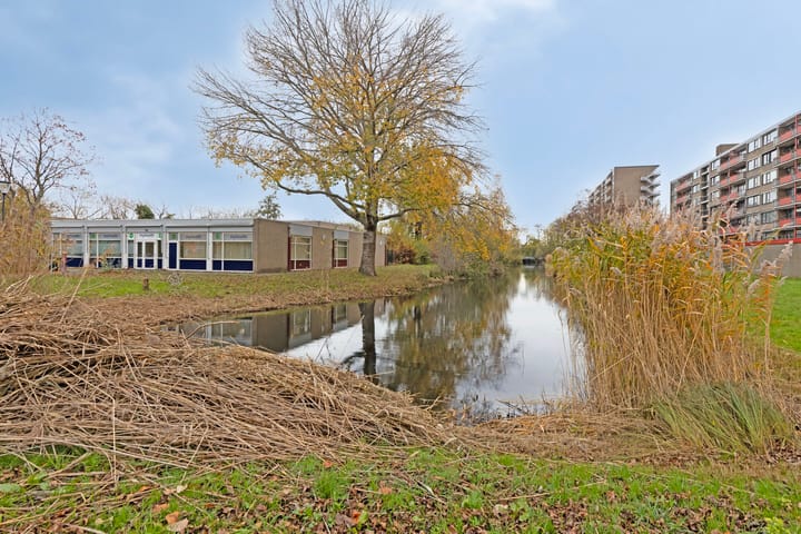 Photo 33 of Hobokenstraat 223