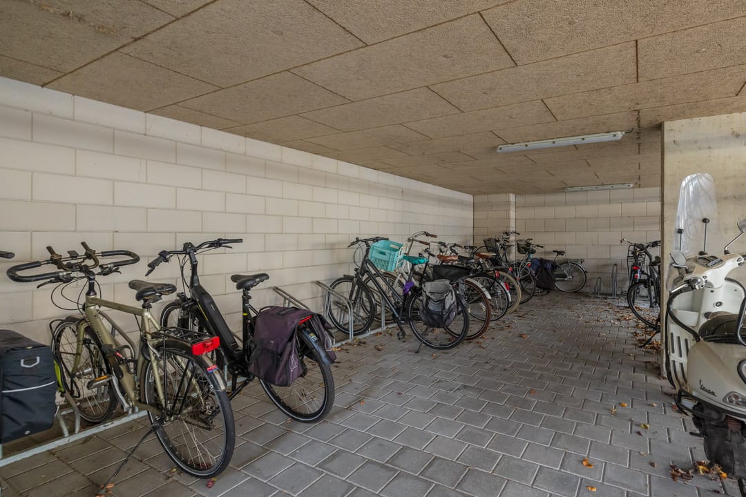 Foto 38 van Driehuizenpark 21